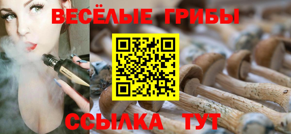 Миллерово  Галлюциногенные грибы Psilocybine cubensis  Галлюциногенные грибы Psilocybe  Вход с VPN 
